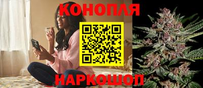 mdpv Ставрополь