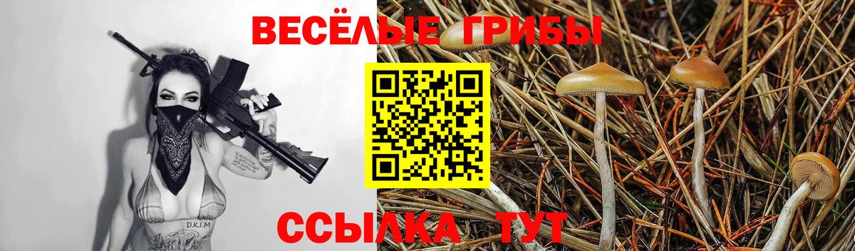 Псилоцибиновые грибы Cubensis  Вход с VPN  где можно купить наркотик  Новый Уренгой 